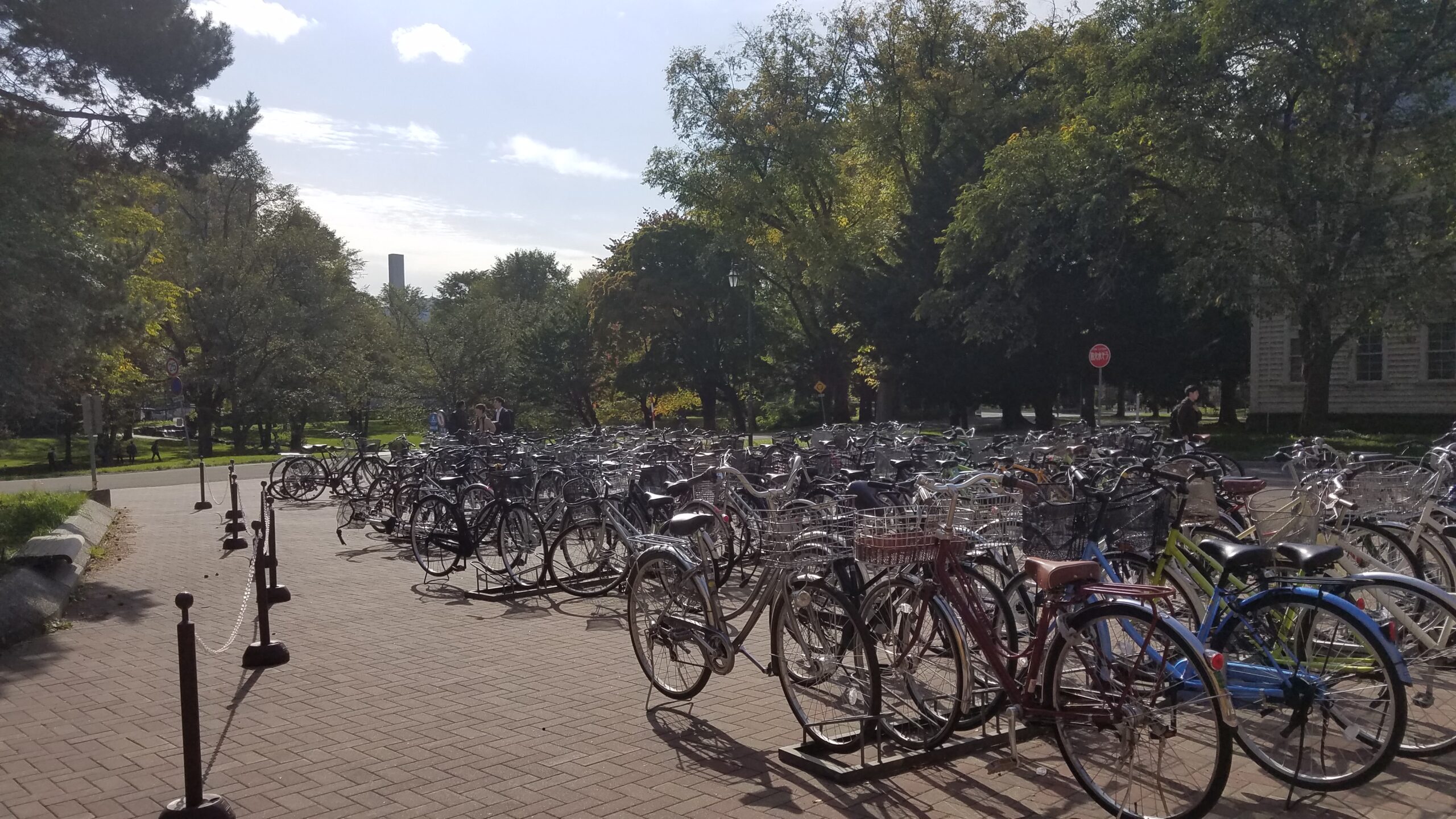 Parking à vélos dans un parc à Tokyo